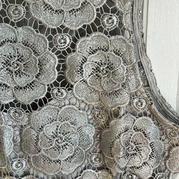 BHLDN Anthropologie Silver Floral Lace Sleeveless Emmeline Dress - Picture 4 of 11